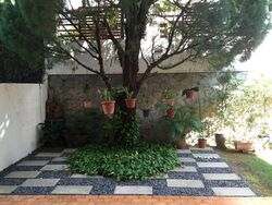 Cheng Soon Garden (D21), Semi-Detached #564791411